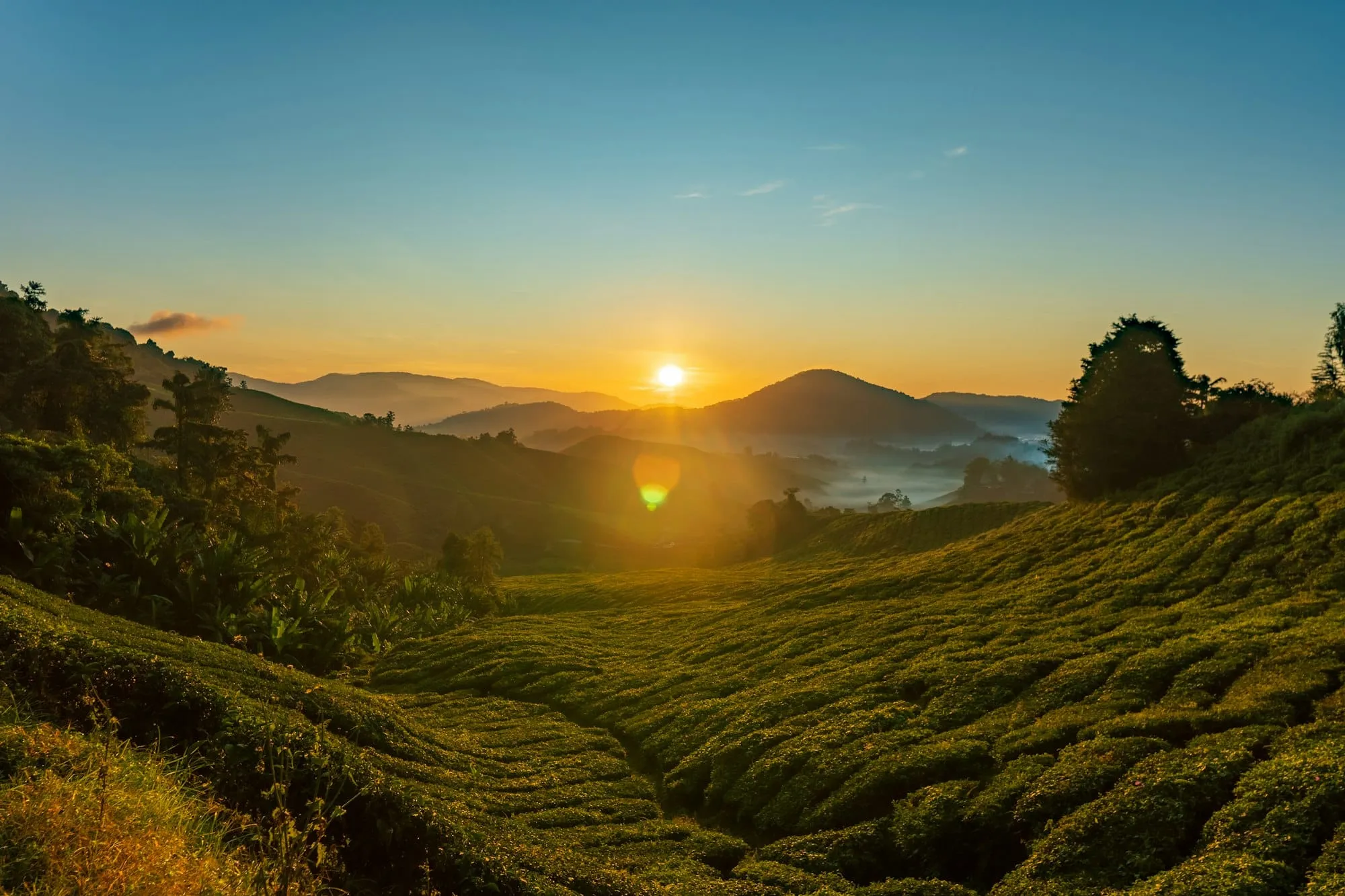 Malaysia